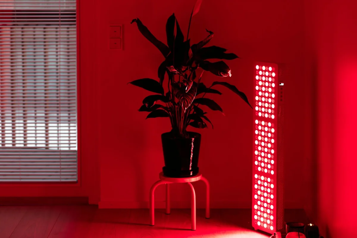 RED L2 punavalolaite - Image 4